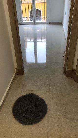 Pulido y cristalizado Frank