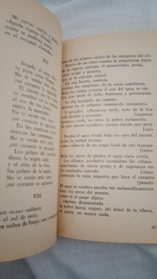 Soledades/Poesías de la guerra (PPP) (Spanish ...