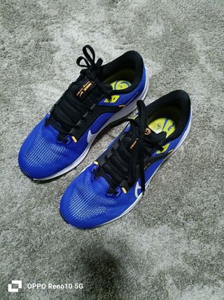 Zapatillas Nike Azules y Blancas