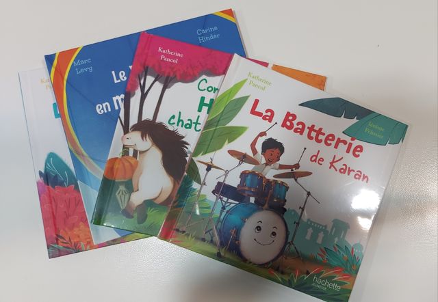 Lote libros frances