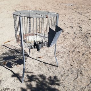 Jaula metálica para Conejos o otros animales