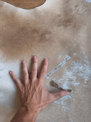 Alfombra Piel Vaca Brasileña