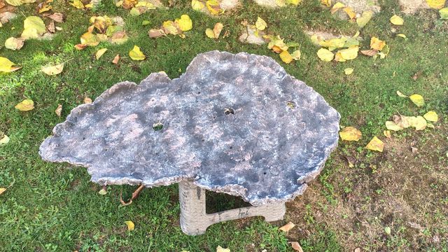 Lastra per boschetti bonsai