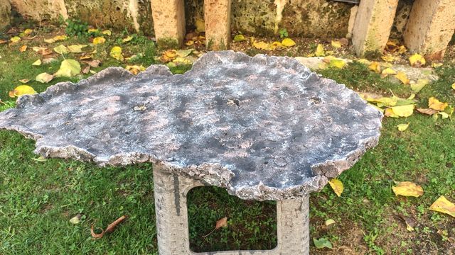 Lastra per boschetti bonsai