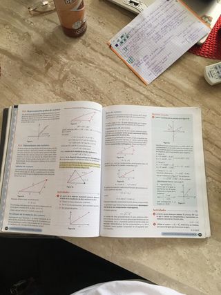 Física y Química 1º Bachillerato. Libro del est...