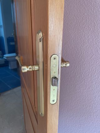 5 Puertas madera roble