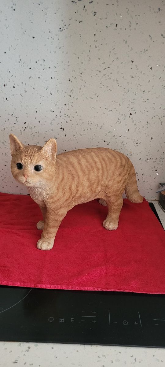 Gato realista resina tamaño real