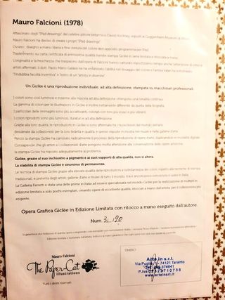 Quadro Mauro Falcioni incorniciato 