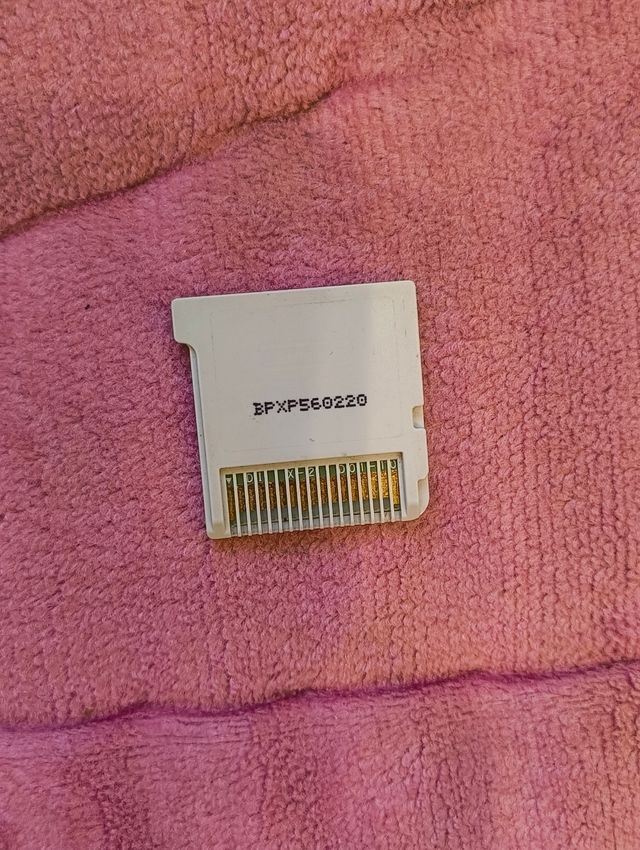 Pokémon Super Mystery Dungeon 3DS