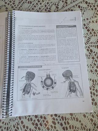 Anatomía aplicada