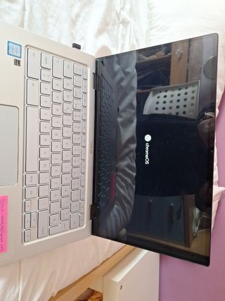 Asus Chromebook Plata