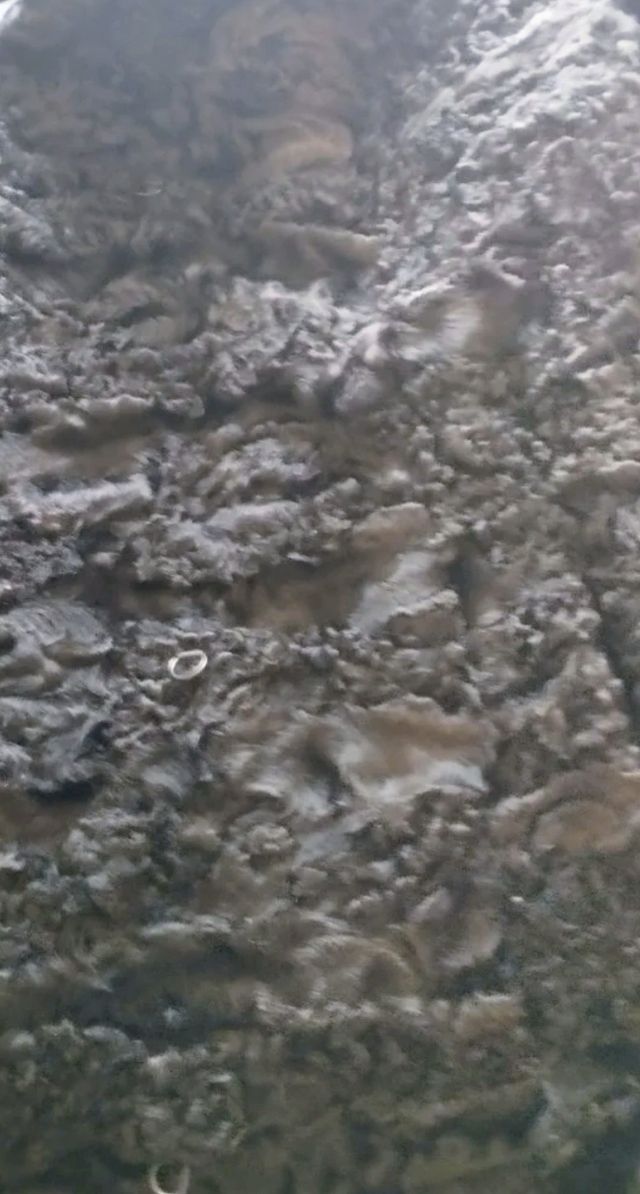 Abrigo Astrakán Negro. Talla XL