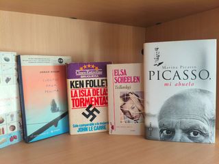 Lote de libros antiguos muy famosos