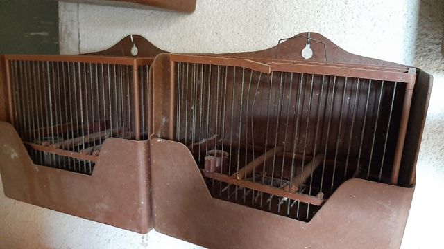 Gabies ocells amb abeurador I menjadora i caixa.