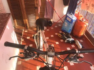 Bicicleta Moma GTT 2.0 en buen estado
