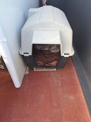Caseta para perro grande