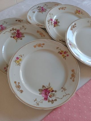 Platos de porcelana Santa Clara florales