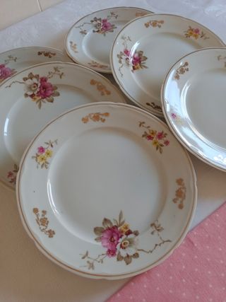 Platos de porcelana Santa Clara florales