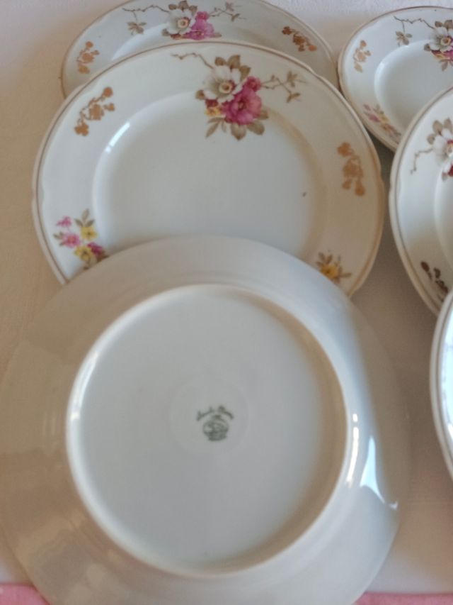 ✨10 Platos de porcelana Santa Clara florales