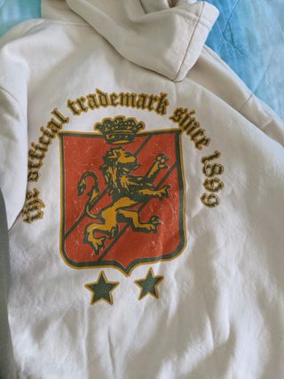 Lotto felpa, maglietta, t-shirt, camicia ragazzo