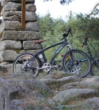 Bicicleta electrica