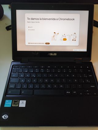 Asus Chromebook Flip CR1 Negro