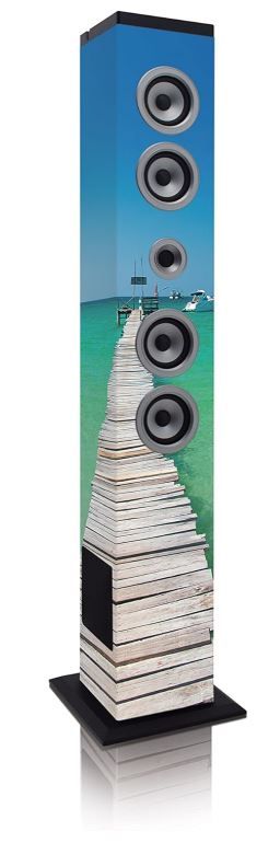 Altoparlante Bluetooth 40 Watt FM USB telecomando