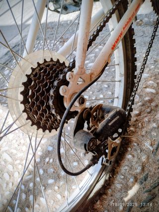 Bicicleta junior BH