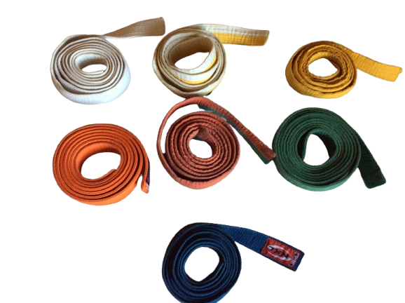 7 Cinturones de Judo