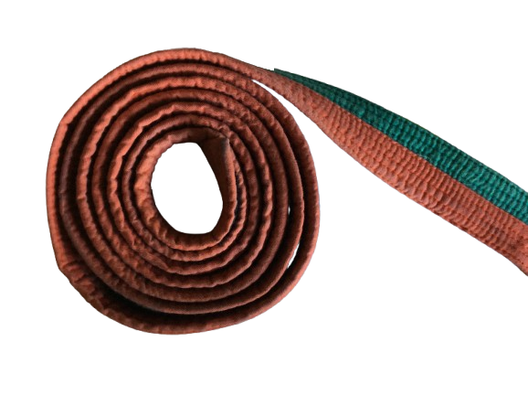 7 Cinturones de Judo