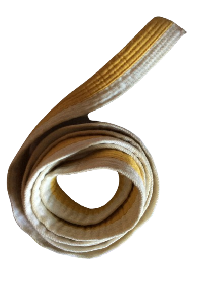 7 Cinturones de Judo