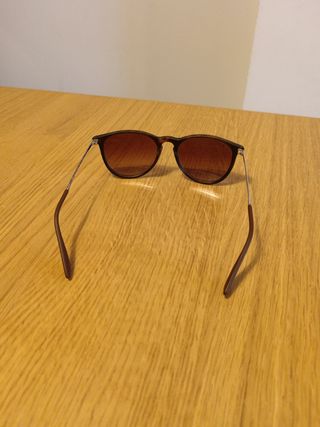 Gafas de sol Ray-Ban Erika RB 4171 Marrón