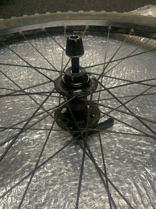 Rueda Delantera 29 Roval Eje 9mm