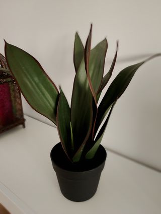 Planta Artificial Decorativa