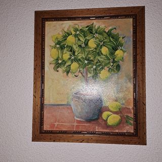 Cuadro de limonero con maceta