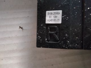 Altavoces para TV. Todos.