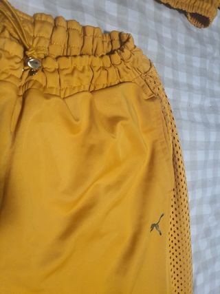 Conjunto Puma Amarillo
