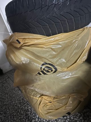 Nexen Winguard Sport 2 (WU7) Neumático precio agot