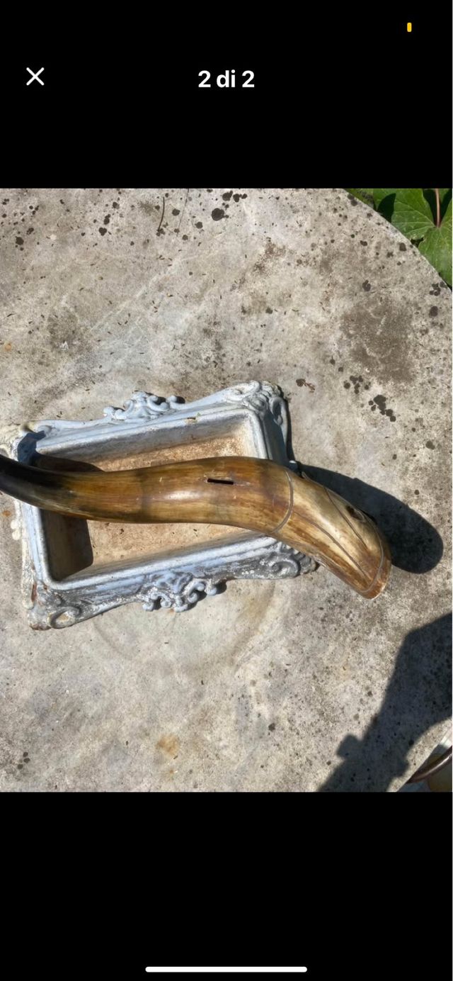 Corno salvadanaio a forma di pesce