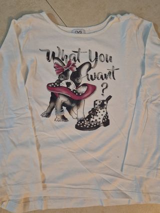 Lote Ropa Niña: Jeans y Camisetas