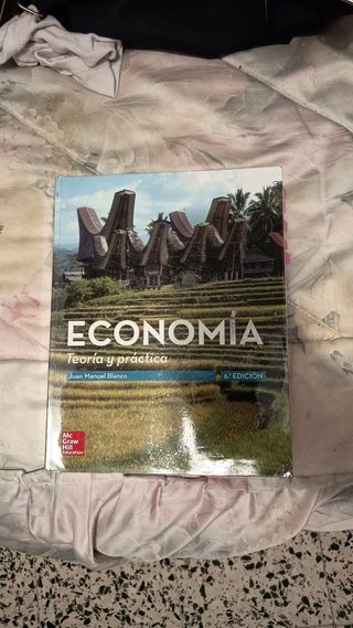 Economia: Teoria y practica 6E