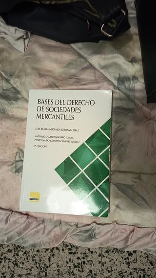 BASES DEL DERECHO DE SOCIEDADES MERCANTILES 2025