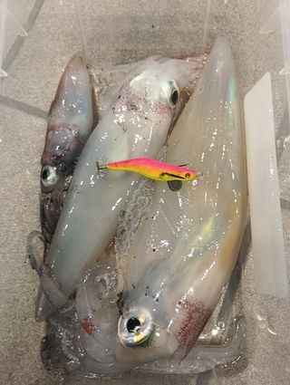 Poteras Artesanas para Calamar