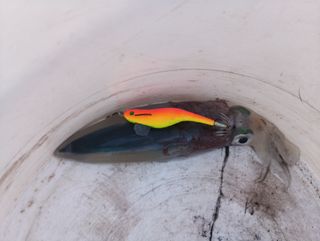 Poteras Artesanas para Calamar