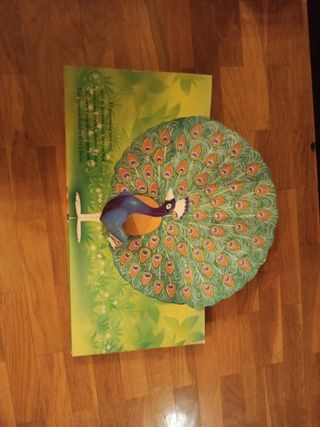 Safari Pop-Up (Ojos, orejas, nariz y cola) (Spa...