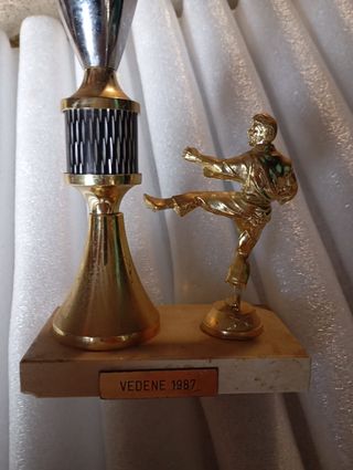 Trofeo Karate Vintage Vedene 1987
