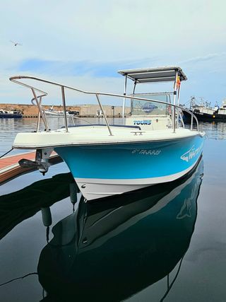 Embarcación White Shark 225