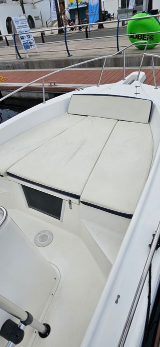 Embarcación White Shark 225