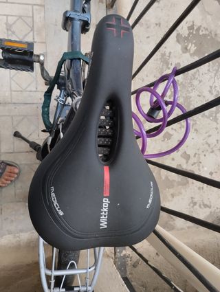 Bicicleta Raleigh Plegable