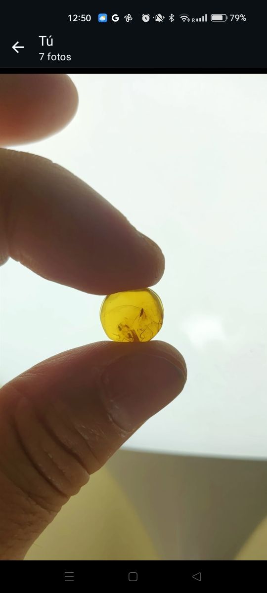 Ámbar con inclusión de insecto